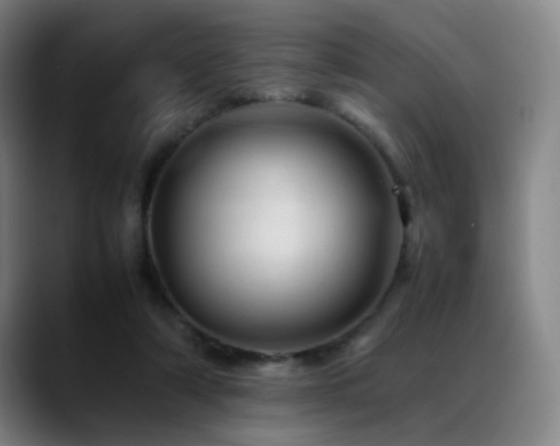 X0000089350306200706151106