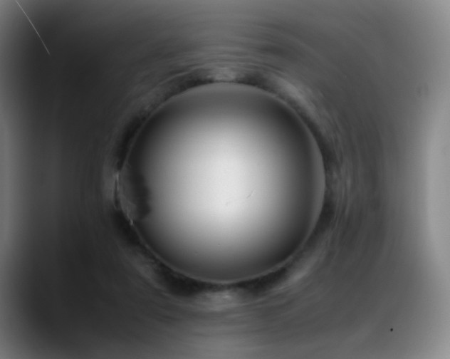 X0000089350307200706151106