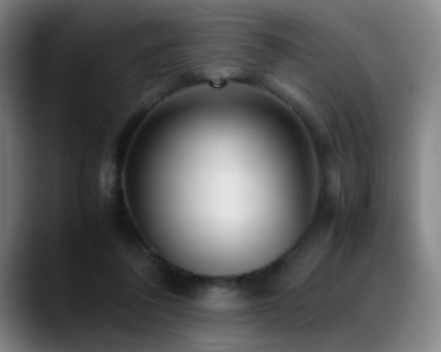 X0000089350308200706151106