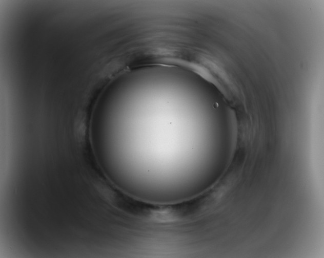 X0000089350309200706151106