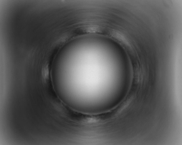 X0000089350310200706151106