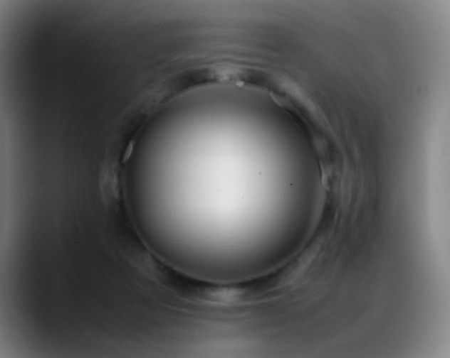 X0000089350313200706151106