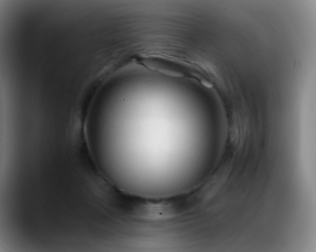 X0000089350314200706151106