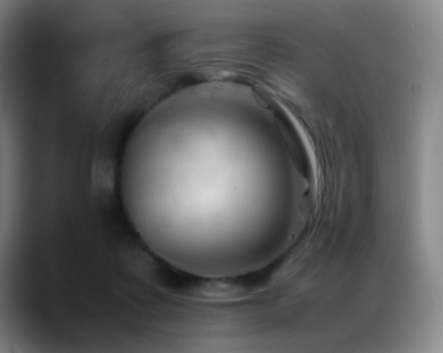 X0000089350315200706151106