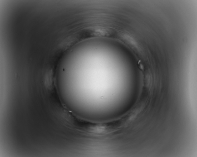 X0000089350318200706151106
