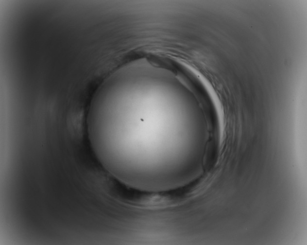 X0000089350319200706151106