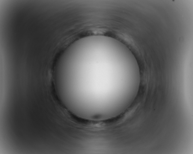 X0000089350321200706151106