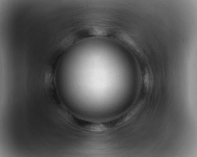 X0000089350322200706151106