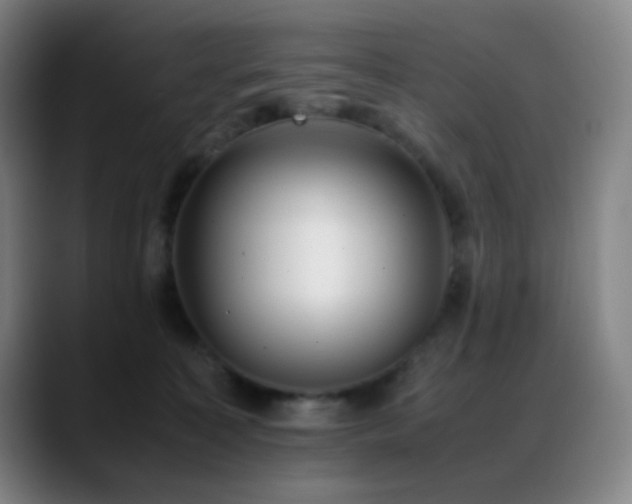 X0000089350323200706151106