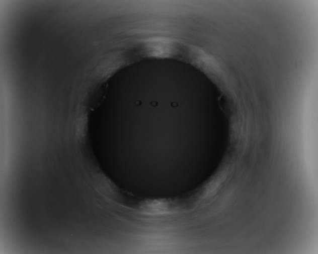 X0000089350325200706151106