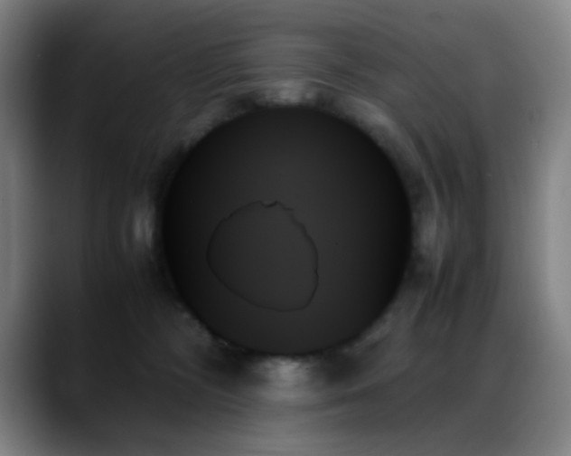 X0000089350326200706151106