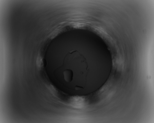 X0000089350327200706151106
