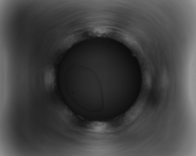 X0000089350328200706151106