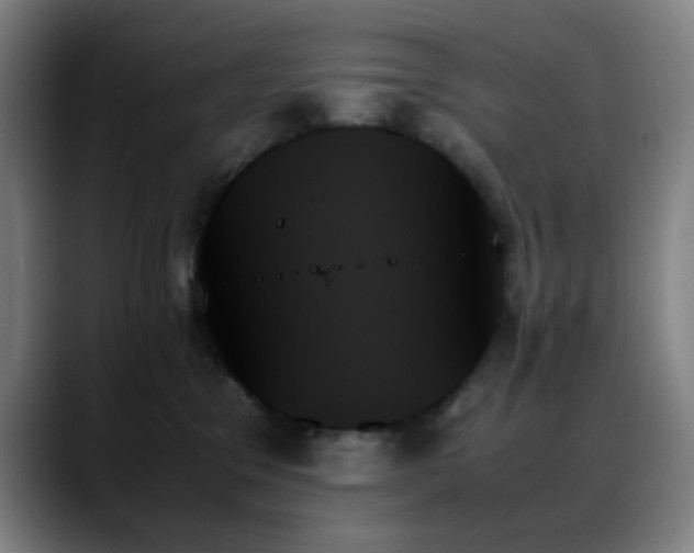 X0000089350329200706151106