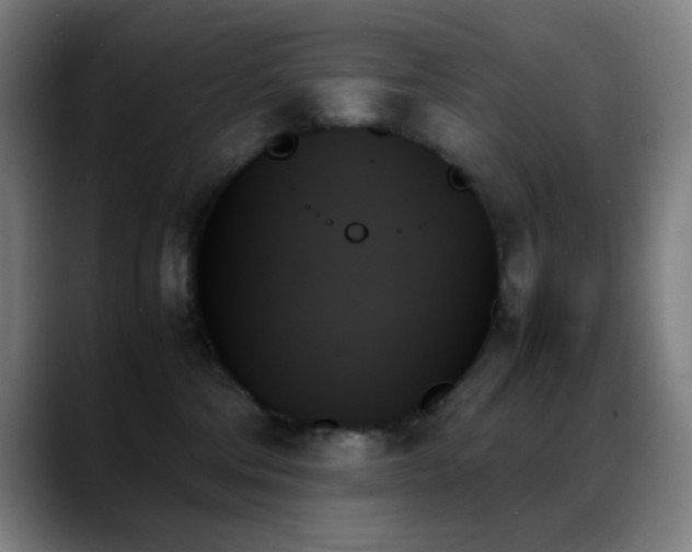 X0000089350330200706151106