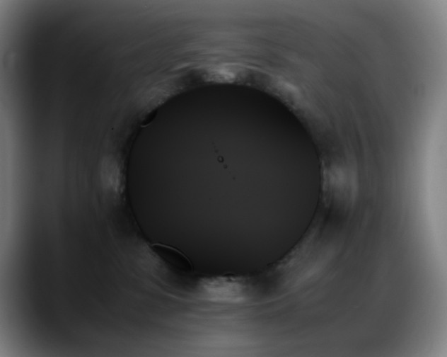 X0000089350331200706151106