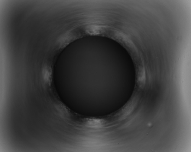 X0000089350332200706151106