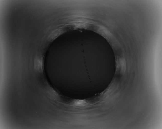 X0000089350333200706151106