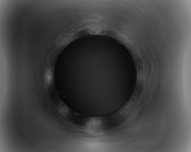 X0000089350335200706151106