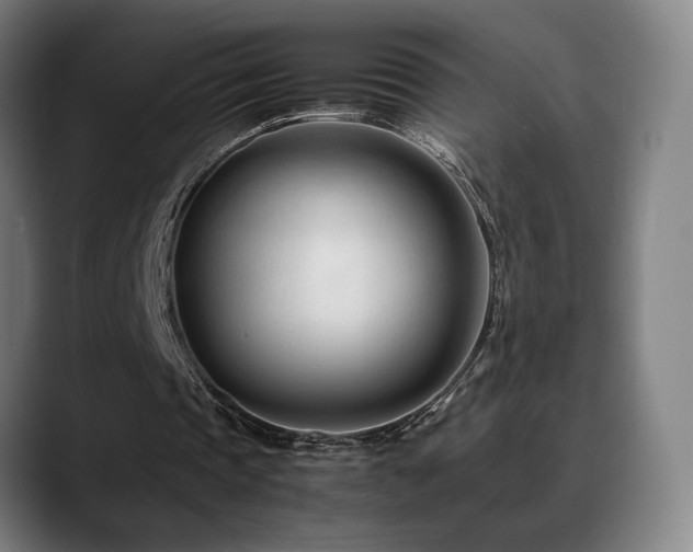 X0000089350337200706151105