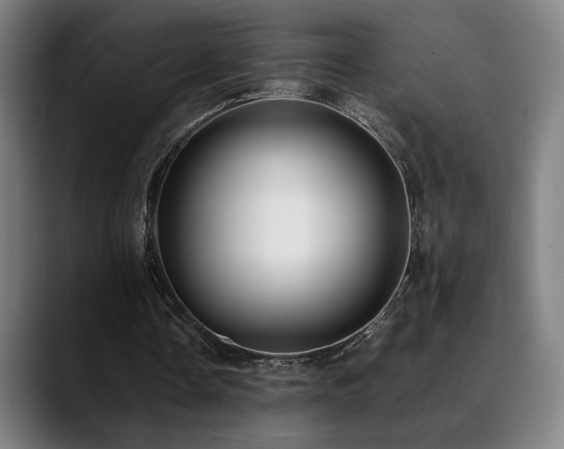 X0000089350338200706151105