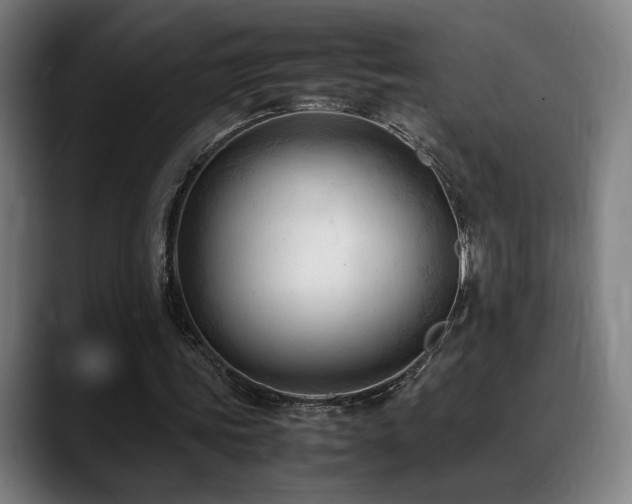 X0000089350339200706151105