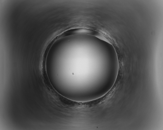 X0000089350340200706151105