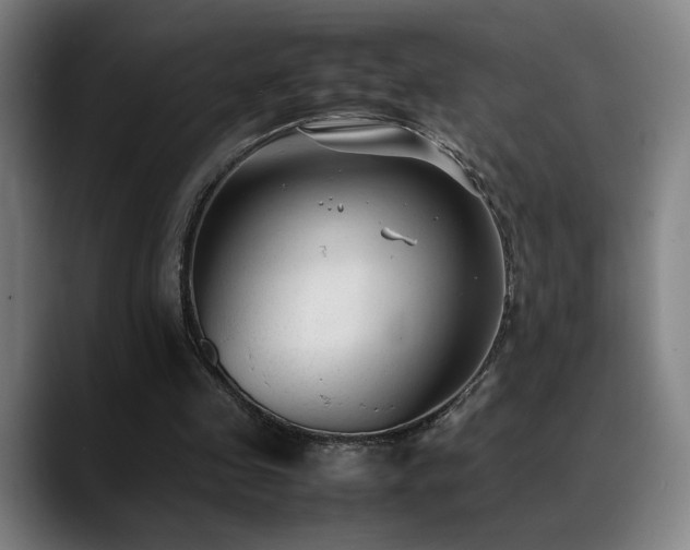 X0000089350341200706151105