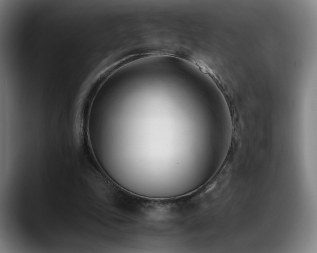 X0000089350343200706151105