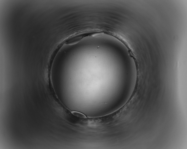 X0000089350345200706151105
