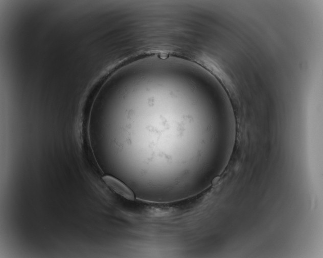 X0000089350346200706151105