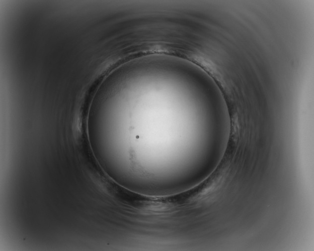 X0000089350347200706151105