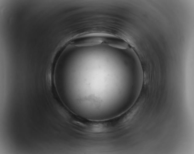 X0000089350349200706151105