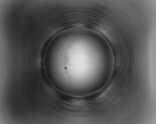 X0000089350351200706151105