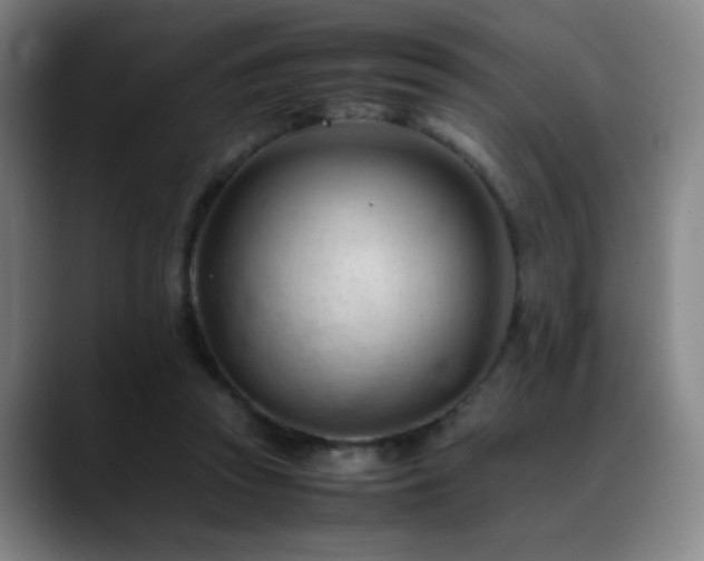 X0000089350353200706151105