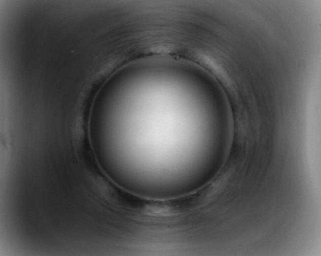 X0000089350354200706151105