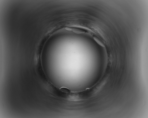 X0000089350355200706151105