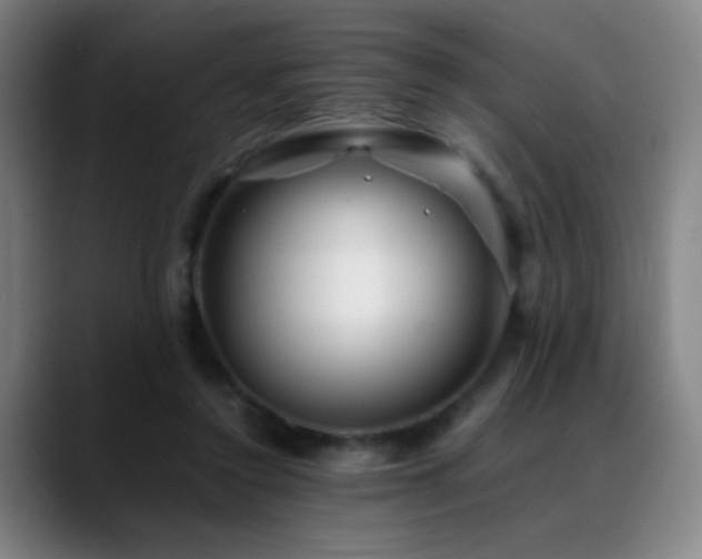 X0000089350356200706151105