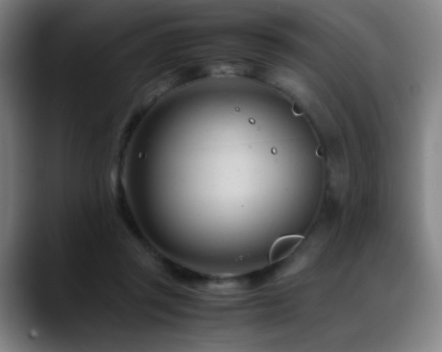 X0000089350357200706151105