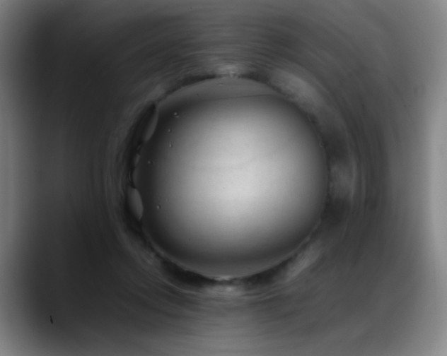 X0000089350358200706151105