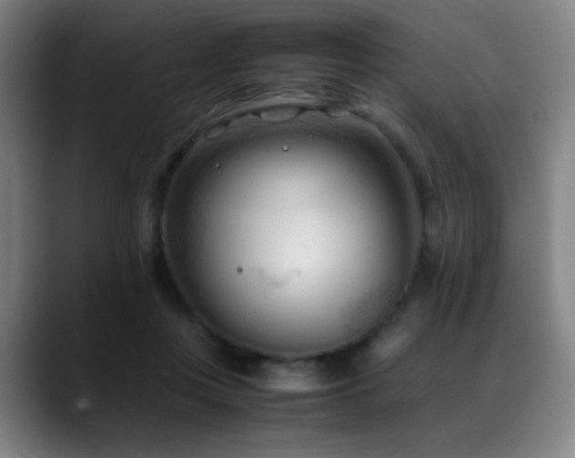 X0000089350359200706151105