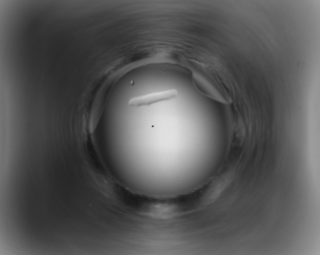 X0000089350360200706151105