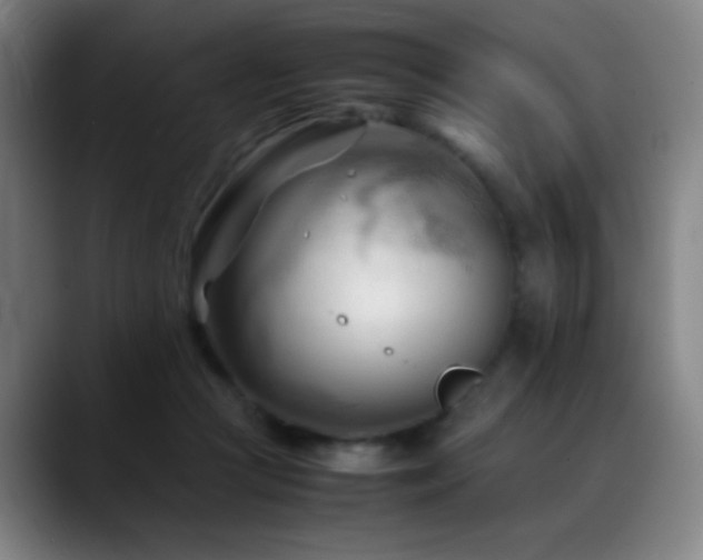 X0000089350361200706151105