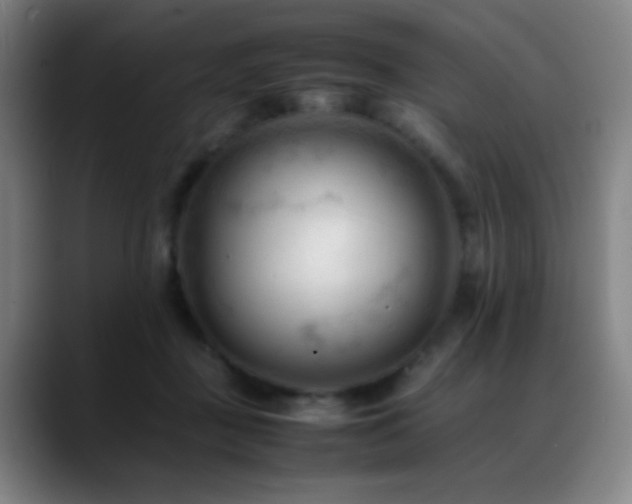 X0000089350363200706151105