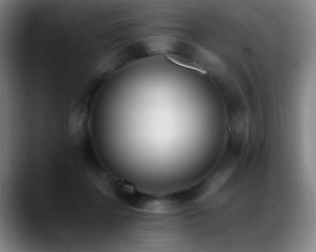 X0000089350364200706151105