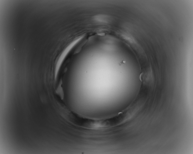 X0000089350365200706151105