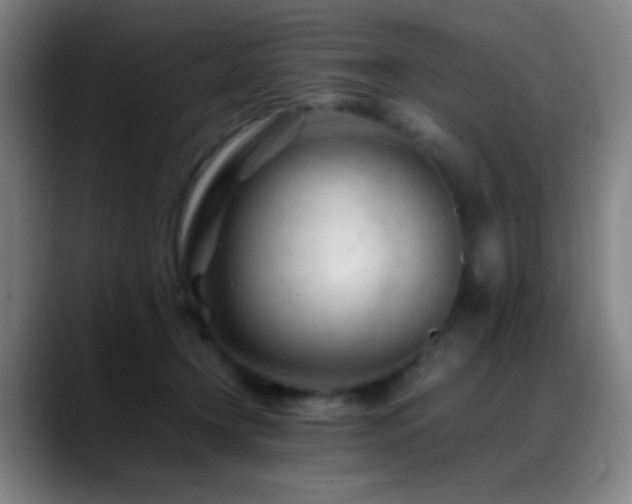 X0000089350366200706151105
