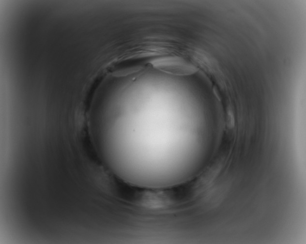 X0000089350367200706151105