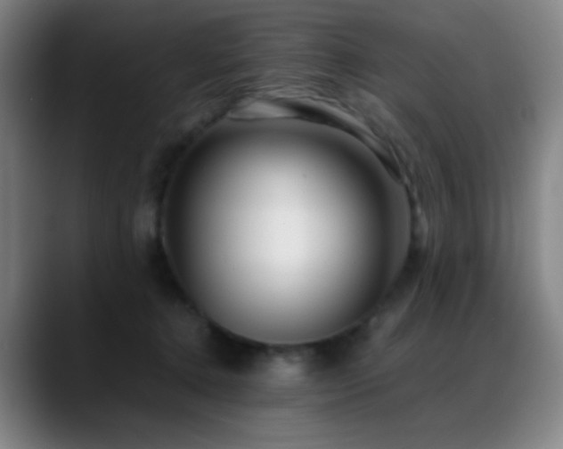 X0000089350368200706151106