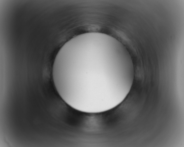 X0000089350370200706151106